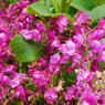 saturated colors　#10