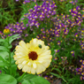 saturated colors　#15