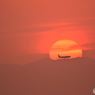 2019-5-2　夕日と飛行機３　A320