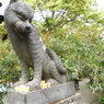 多聞院　寅