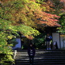 階段なう