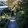 安楽寺なう