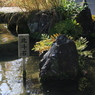 北斗石なう