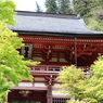 そうだ 京都、行こう。