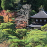 展望所なう