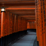 胎道