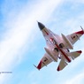 岐阜基地　F-2
