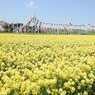 DSCN2623