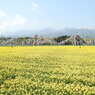 DSCN2629