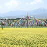 DSCN2630