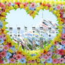 DSCN2634