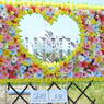 DSCN2635