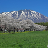 小岩井農場 2