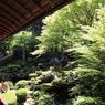 庭園を楽しむ
