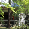 庭園散策