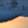 山の端の薄紅色を映して