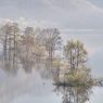 烟　景