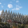 杜（補正＆再掲）