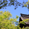 春の空