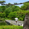 昭和記念公園日本庭園