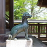 おいぬ様_武蔵御嶽神社