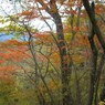三頭山