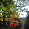 IMGP0122