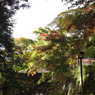 IMGP0153