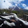 暮春　富士山　Ⅱ