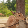 ちょっと休憩