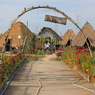 Lotus Farm by Samatoa