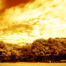 GARDEN INFRARED (14)