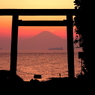 洲崎神社浜の鳥居