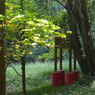 下方川砂防公園（下関市）