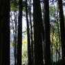 下方川砂防公園（下関市）