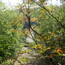 下方川砂防公園（下関市）