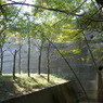 下方川砂防公園（下関市）