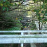 下方川砂防公園（下関市）