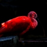 P1070611