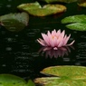 雨の日の表情４