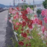 夏の始まり