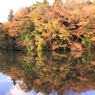 鏡に映る紅葉①