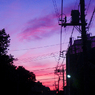 お色気空