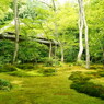祇王寺