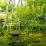 祇王寺