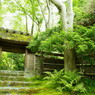 祇王寺