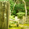 祇王寺