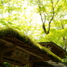祇王寺