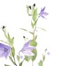 君の目の前の 小さな草も 生きている 笑ってる ホラ 笑ってる