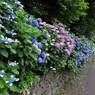 飛鳥の小径②